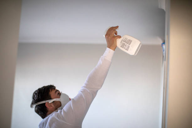 Best Bathroom Mold Remediation in San Pasqual, CA
