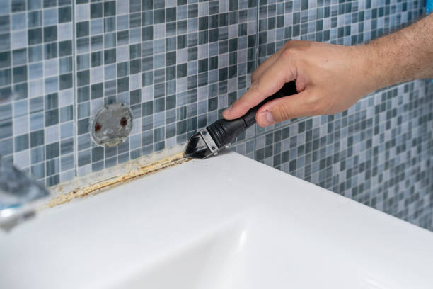 Best Residential Mold Remediation in San Pasqual, CA
